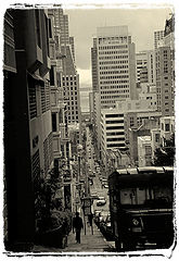 photo "Untitled photo"