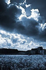 photo "***"