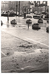 photo "Under a rain"