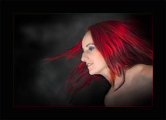 photo "the red bird"