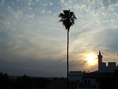 фото "sunset in Elvas"