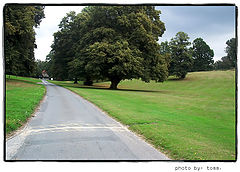 фото "Oh, England"