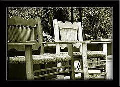 фото "Waiting for Company copy"