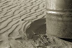 photo "Beach textures"