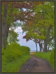 photo "On a way in novel"
