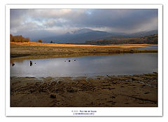 фото "let there be light"