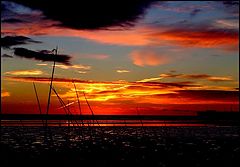 photo "and nothing else matters..."
