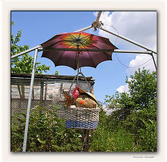 photo "Scarecrow in a garden"