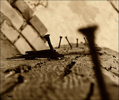 photo "Untitled photo"