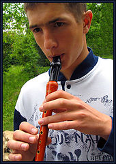 photo "About what the flute sings?"
