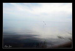 photo "Lake Peipsi"