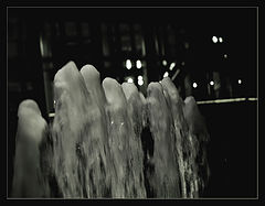 photo "* * *"
