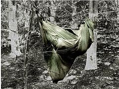 фото "human cocoon"