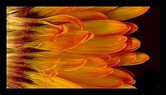 фото "..."