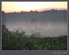 photo "Morning."