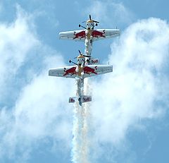 фото "The Flying Bulls (1)"