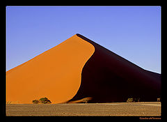фото "Namib Dune"