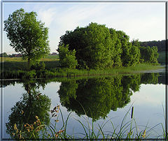 photo "the lake"
