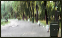 photo "3"