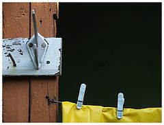 photo "colors"