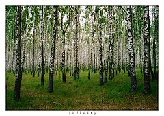 фото "Бесконечность"