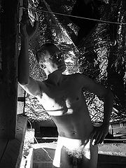 photo "Tannin"