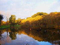 фото "Afternoon Lake"
