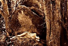 photo "nella foresta dei misteri"