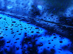 фото "*"