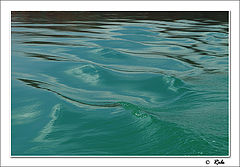 photo "water"