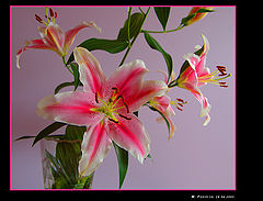 фото """