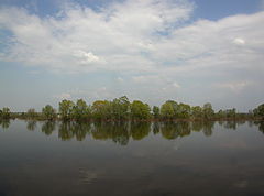 photo "***"