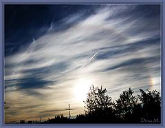 photo "Sign"