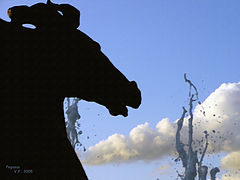 photo "Pegasus"