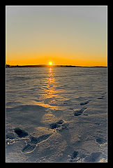 photo "remember the frost! :)"