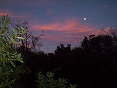 photo "Perpendicular moonrise"