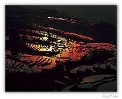 фото "Backward terraced fields of sun"