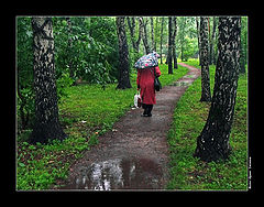 photo "It Rains"