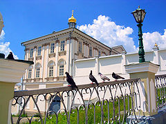 photo "Birds"