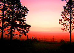 photo "***"