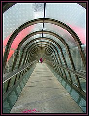 photo "The footbridge"