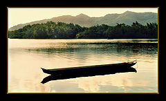 photo "Lonely"