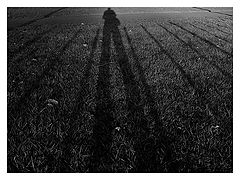photo "Shadow"