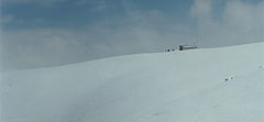 photo "the white. slightly blue..."