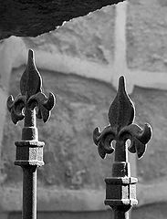 photo "detail"