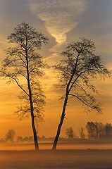 фото "In the morning light..."