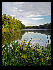 фото "Good Morning"