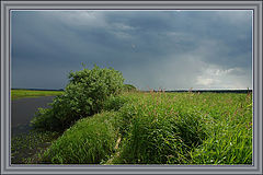 photo "Before a thunder-storm"