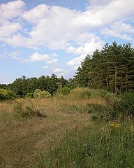 photo "Not ended landscape"