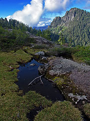 photo "Northwest Landscape"